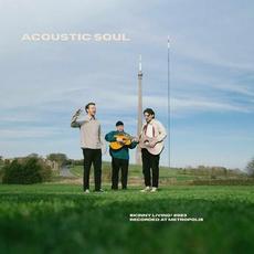 Acoustic Soul mp3 Single by Skinny Living