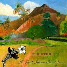 The Secret Island Band Jams mp3 Album by Resistor