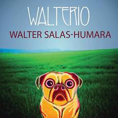 Walterio mp3 Album by Walter Salas-Humara