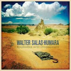 Explodes and Disappears mp3 Album by Walter Salas-Humara