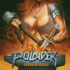 Thunderforged mp3 Album by Pounder