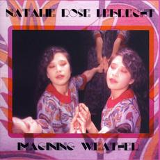 Imagining Weather mp3 Album by Natalie Rose LeBrecht