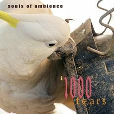 A 1000 Tears mp3 Album by Souls Of Ambience