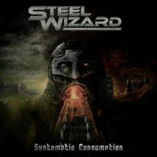 Systematic Consumption mp3 Album by Steel Wizard