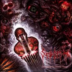 Distorting the Mortal Visage mp3 Album by Sepsism