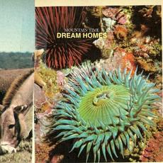 Dream Homes mp3 Album by Mountain Time