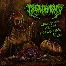 Reduced To A Pile Of Putrefying Slop mp3 Album by Debridement