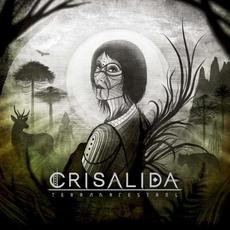 Terra Ancestral mp3 Album by Crisálida