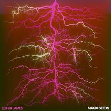 Magic Seeds mp3 Album by Leifur James