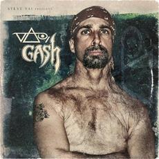 Vai/Gash mp3 Album by Steve Vai