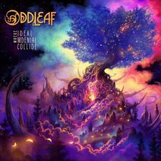 Where Ideal and Denial Collide mp3 Album by Oddleaf