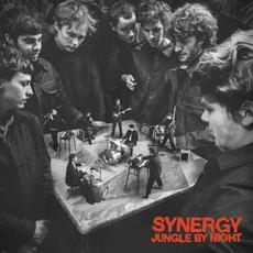 Synergy mp3 Album by Jungle by Night