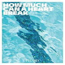 How Much Can a Heart Break mp3 Single by Pegasus