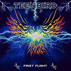 First Flight mp3 Album by Teenbird