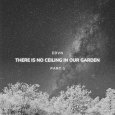 There Is No Ceiling In Our Garden (Part I) mp3 Single by Edvn