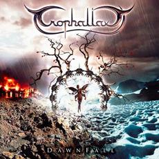 DawnFall mp3 Album by Trophallaxy