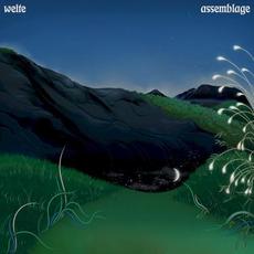 Assemblage mp3 Album by WEITE