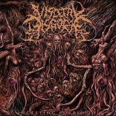 Ingesting Putridity mp3 Album by Visceral Disgorge