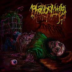 Smear mp3 Album by Phalloplasty