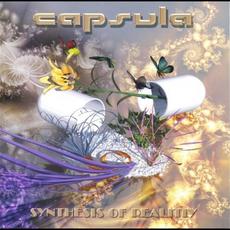 Synthesis of Reality mp3 Album by Capsula (2)