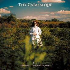 XII: A gyönyörű álmok ezután jönnek mp3 Album by Thy Catafalque