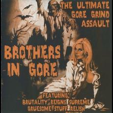 BRS & GSR - Brothers In Gore mp3 Compilation by Various Artists