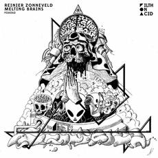 Melting Brains mp3 Single by Reinier Zonneveld