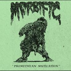 Promethean Mutilation mp3 Album by Morbific