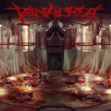 Contalara mp3 Album by Panachea