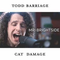 Mr. Brightside mp3 Single by Todd Barriage