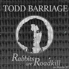 Rabbits Are Roadkill On Route 37 mp3 Single by Todd Barriage