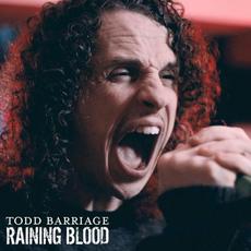 Raining Blood (Emo Version) mp3 Single by Todd Barriage