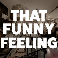 That Funny Feeling mp3 Single by Todd Barriage