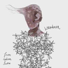 Wanderer mp3 Album by From Indian Lakes