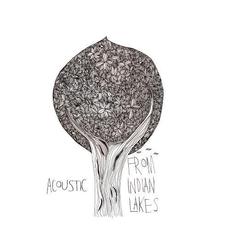 Acoustic mp3 Album by From Indian Lakes