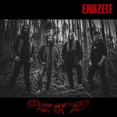 Endzeit mp3 Album by ORIGIN OF ZED