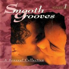 Smooth Grooves: A Sensual Collection, Volume 1 mp3 Compilation by Various Artists