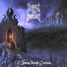 A Journey Through Darkness mp3 Album by Amongst the Moonlight