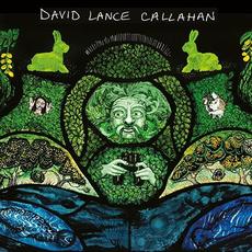 Free Radicals / Evil Magnets mp3 Single by David Lance Callahan