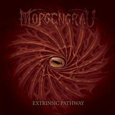 Extrinsic Pathway mp3 Album by Morgengrau