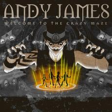 Welcome to the Crazy Maze mp3 Single by Andy James