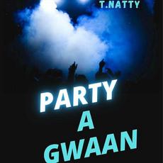 Party a Gwaan mp3 Single by T.Natty