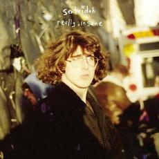 Really Insane - A Lou Barlow Compendium mp3 Album by Sentridoh