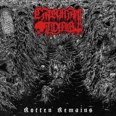 Rotten Remains mp3 Album by Carnal Tomb