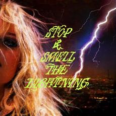 stop and smell the lightning mp3 Album by Annie Hamilton