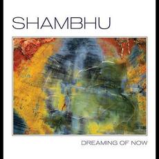 Dreaming of Now mp3 Album by Shambhu