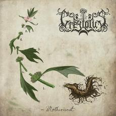 Motherwort mp3 Album by Greylotus