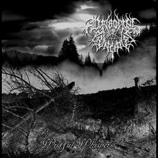 Wistful Whispers mp3 Artist Compilation by Diabolical Principles