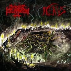 Malevolence Evocations mp3 Album by Nekus