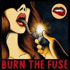 Burn The Fuse mp3 Album by Sheygun